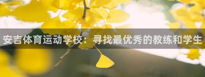 安吉体育运动学校：寻找最优秀的教练和学生