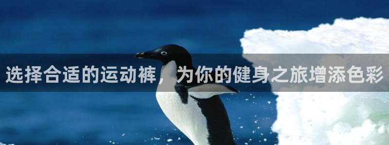 选择合适的运动裤，为你的健身之旅增添色彩