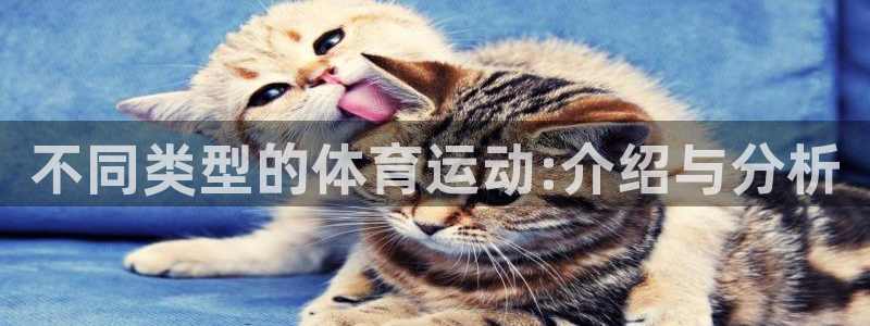 不同类型的体育运动:介绍与分析