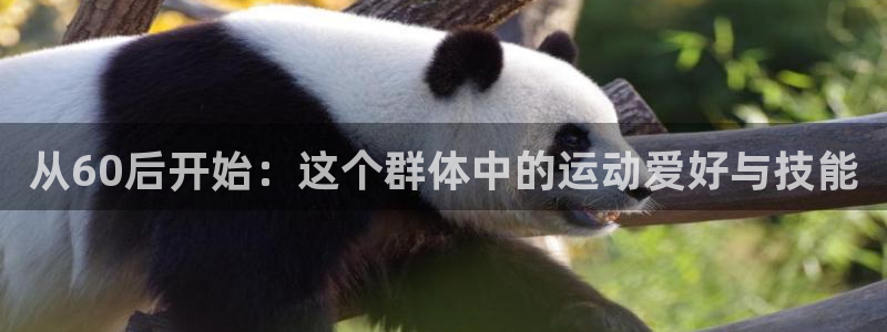 从60后开始：这个群体中的运动爱好与技能
