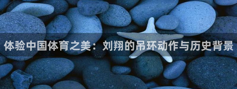 体验中国体育之美：刘翔的吊环动作与历史背景