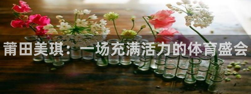 莆田美琪：一场充满活力的体育盛会