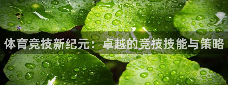 体育竞技新纪元：卓越的竞技技能与策略